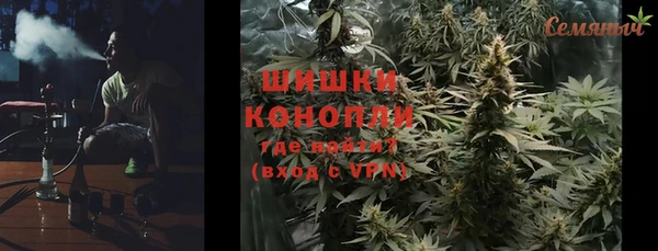 амф Снежногорск