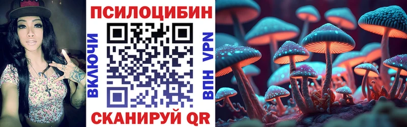 OMG ссылки  Светлый  Галлюциногенные грибы Psilocybe 